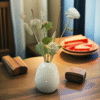 15pcs Rattan Diffuser Set with Lucky Flower Leaves
