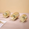 3 pcs Airless Pump Dispenser Jars